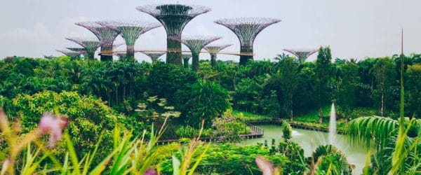 Study Botany in Singapore with Worldwide Navigators