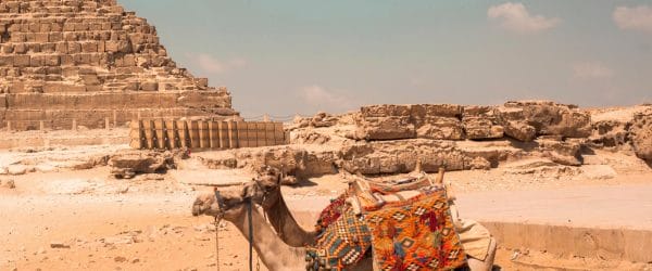 Historical Studies in Northern Africa with Worldwide Navigators